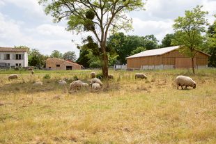 Domaine départemental de Nodris, en Gironde