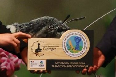 L’agglomération du Choletais est lauréat du Grand Prix Captages « Actions en faveur de la Transition agro-écologique »