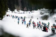 Le 29 décembre 2021, la nouvelle Transju’blanche ouvrera le bal des événements sportifs organisés par Transju, anciennement Trans organisation.