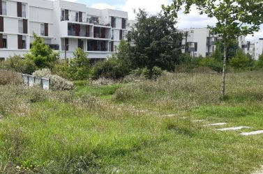 Cheminement doux à l'écoquartier Vidailhan (Balma)