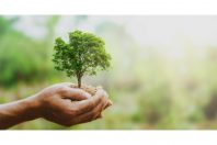 développement durale-lovelyday12-AdobeStock_267603945