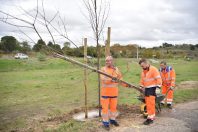route et biodiversité