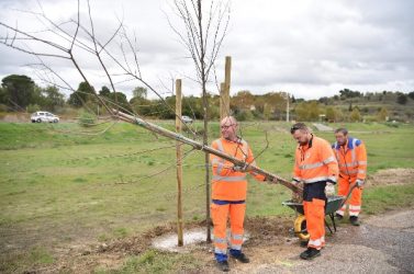 route et biodiversité
