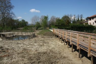 La restauration de la zone humide de Trévoux, dans l'Ain, est une des actions portées par le contrat de rivière de la Saône.