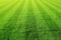 Terrain de sport