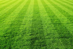 Terrain de sport