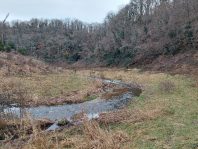 Biodiversité barrage