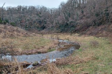 Biodiversité barrage