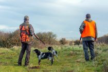 chasse-chasseurs-gilet-fusil-chien