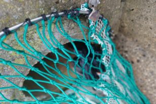 Un dispositif « maison » empêche les déchets jetés dans les avaloirs de polluer la mer