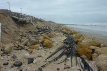 Très menacée par l’érosion, Lacanau en Gironde fait partie des premières communes à avoir adopté une stratégie locale
de gestion du trait de côte incluant notamment un scénario de relocalisation.