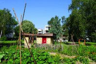 Dans le cadre du ZAN, les aménageurs pourraient proposer des projets sobres en apportant des réponses aux enjeux de mobilité ou d’agriculture urbaine, notamment.