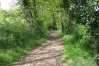 StGenislesO_chemin_vallon_de_Ribes_07mai2021 (3)