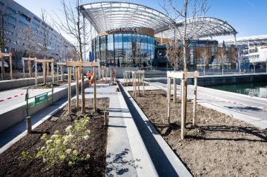 Des arbres plantés à Lyon Confluence