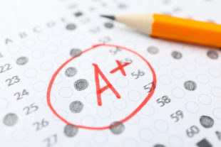 quiz