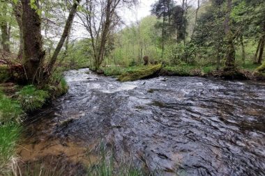 La rivière La Gioune