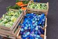 Occena évalue la qualité des produits alimentaires et agricoles au regard des propriétés nutritionnelles et sanitaires
