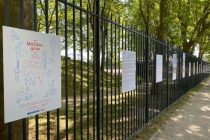 exposition "Matière grise"