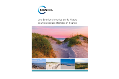 SfN pour la réduction des risques littoraux en France