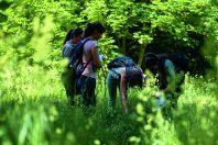 Biodiversité_nature