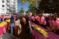 Une course et une marche au profit de La Ligue contre le cancer ont été organisées en Vendée, en octobre