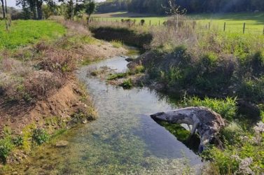 Cours d'eau