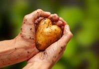 Stratégie nationale de l’alimentation : une publication avec deux ans et demi de retard