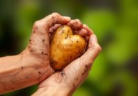 Journée Alimentation & Restauration territoriales 2022