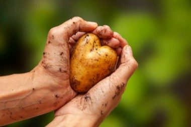 Journée Alimentation & Restauration territoriales 2022