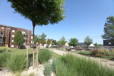 densité urbaine désirable