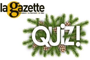 quiz in christmas background - pine branchs