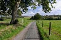 Chemin rural à travers champ