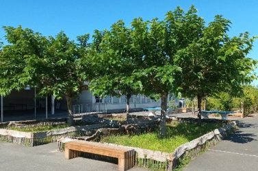 cours d'école désimperméabilisée @Cerema