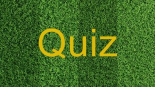 Quiz (sur du gazon)