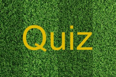 Quiz (sur du gazon)