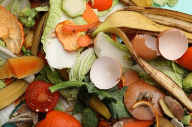 biodechets