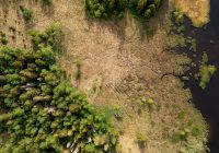 Une tourbière en bon état rend de multiples services écosystémiques, dont le stockage du carbone.