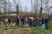 Atelier et animation autour d'un composteur.