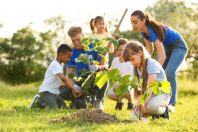 Quand les enfants plantent des arbres