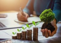 business woman hand holding tree with plant growing on coins. co