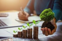 business woman hand holding tree with plant growing on coins. co