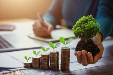 business woman hand holding tree with plant growing on coins. co