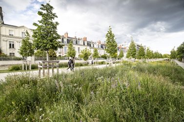 ANGERS-NATURE-VILLE