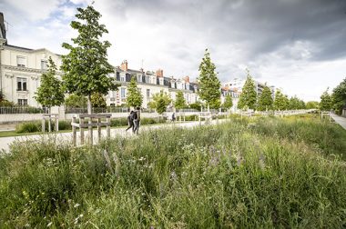 Renaturation urbaine : les 10 recommandations de la Fnau pour rendre nos villes enfin résilientes