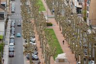 Réduction de la place de la voiture en ville, multiplication des
pistes cyclables… : l’adaptation au changement climatique est un levier, même si les mentalités sont difficiles à changer face au règne du véhicule individuel.