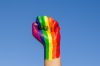 Inclusion et respect des personnes LGBTQIA+ : le label FIER sport décerné à la ville de Lyon