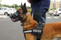 Police Municipale CAVAM