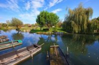 Capture-marais de bourges-nature-aterrom-adobestock
