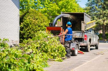 broyage déchets verts