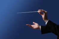 orchestre-New Africa-AdobeStock_601227604